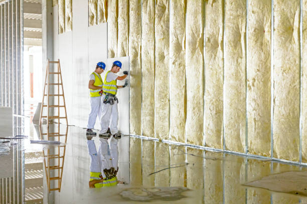Best Residential Insulation in Sayre, OK
